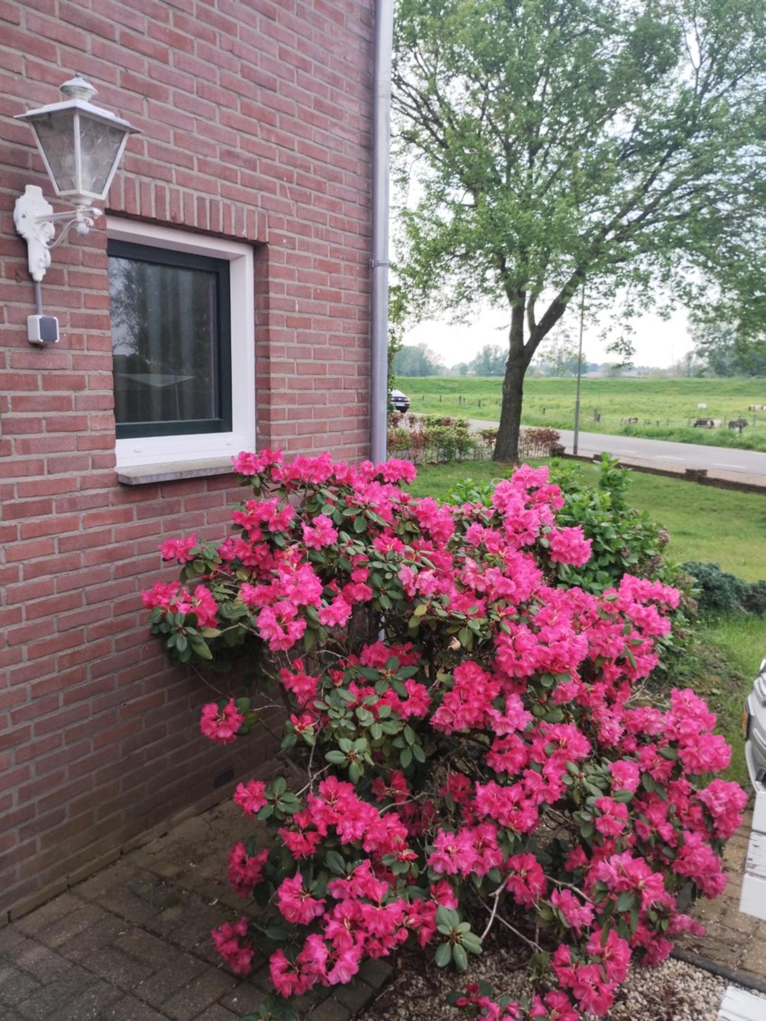 Laaker Villa Nearby Outlet Roermond Охе-эн-Лак Экстерьер фото